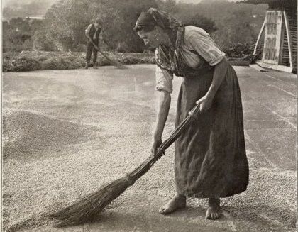 Fotografia. Senhora a varrer o milho em Santo Tirso. | José Luís Mingote
