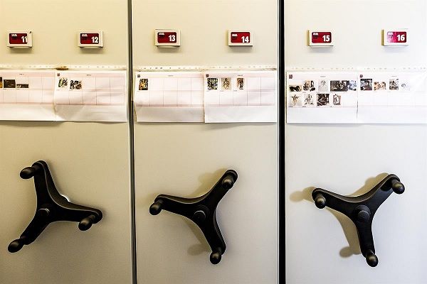 Informação sobre os quadros, as gravuras e os desenhos guardados num dos armários na Casa das Histórias. Foto Orlando Almeida/Global Imagens