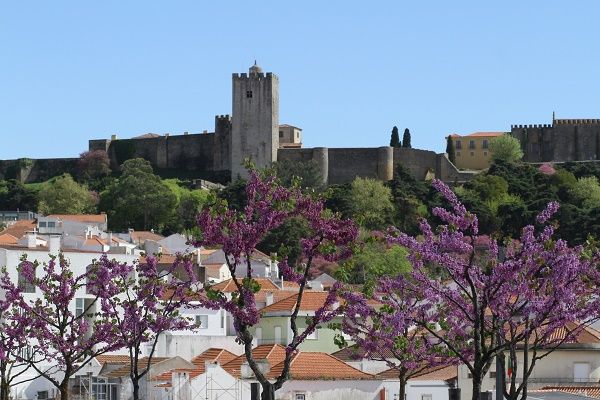 Visitas Guiadas Regressam Ao Centro Histórico De Palmela E Cultura 8967